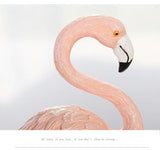 Cute Pink Flamingo - Home Décor