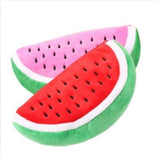 Watermelon Pencil/Cosmetic Pouch