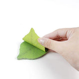 Cute Leaf Memo Pad Sticky Note